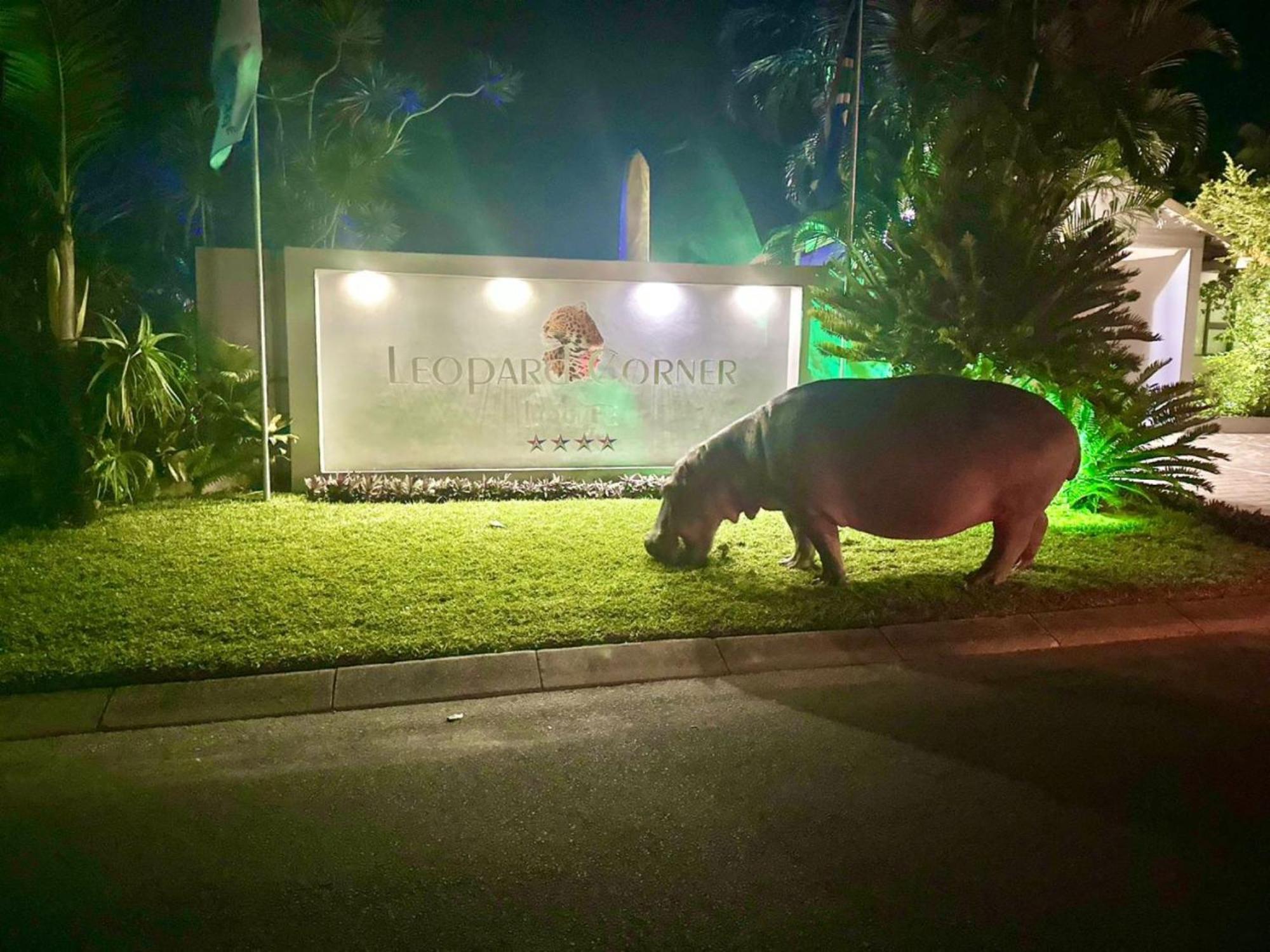 Leopard Corner Lodge St Lucia Luaran gambar